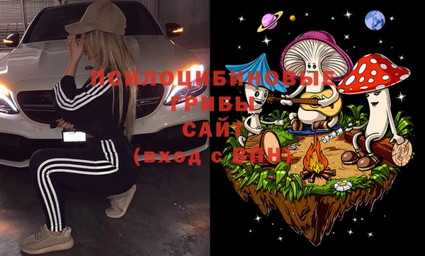 apvp Алзамай