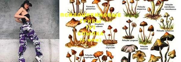 MDMA Premium VHQ Россошь