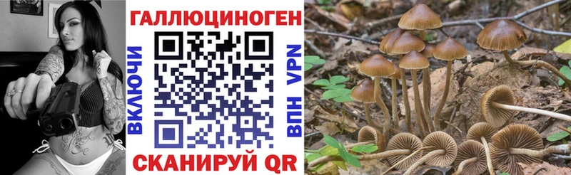 закладка  Омутнинск  Псилоцибиновые грибы Magic Shrooms 